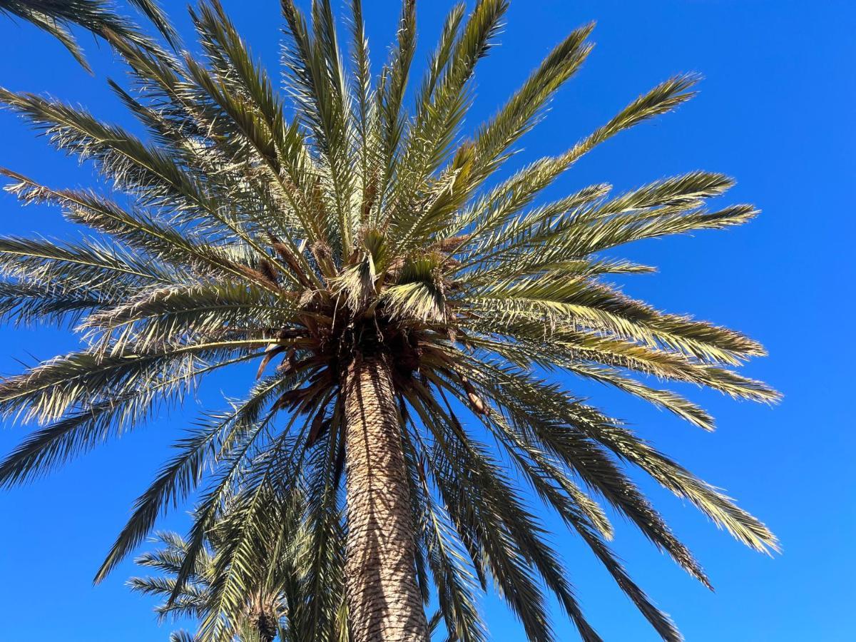 Fincasol San Sebastián de la Gomera 외부 사진